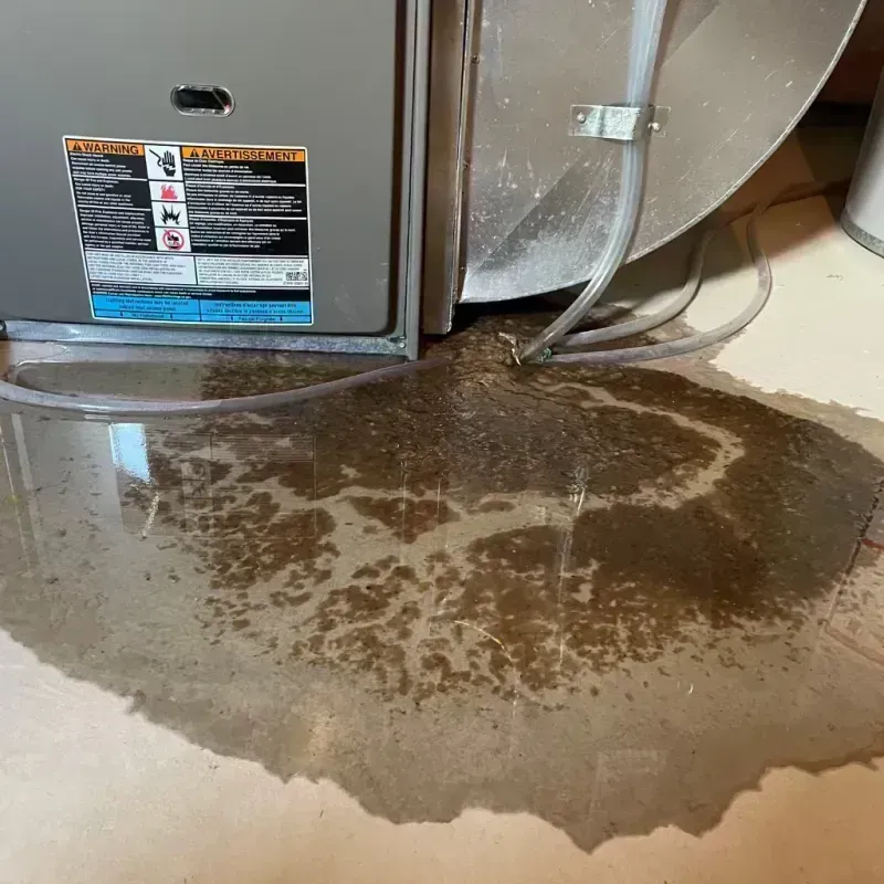 Appliance Leak Cleanup in Breckenridge, CO